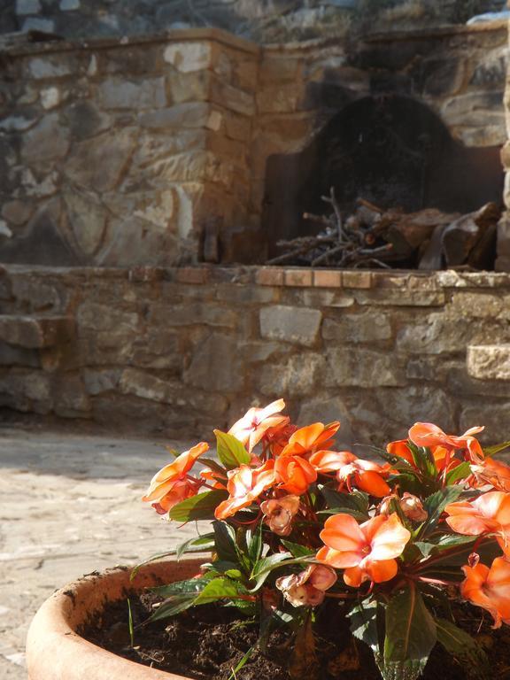 Rifugio Al Sole Βίλα Reggello Εξωτερικό φωτογραφία