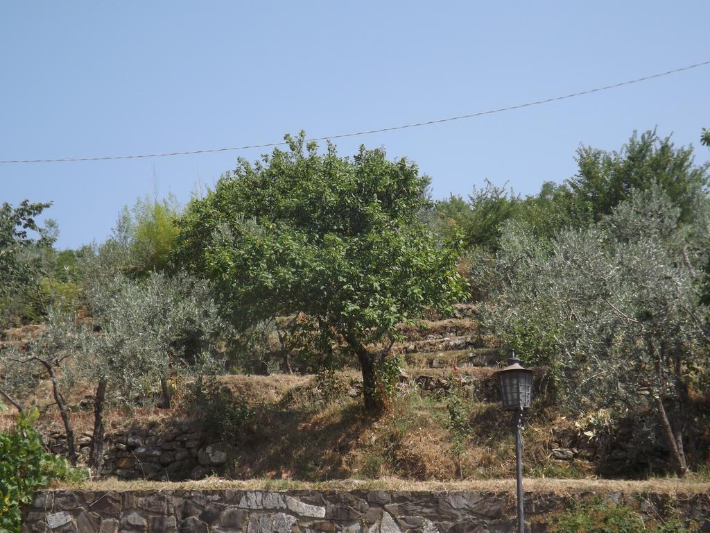 Rifugio Al Sole Βίλα Reggello Δωμάτιο φωτογραφία